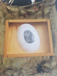 Image 3 of 'Dusting For Prints'
