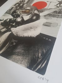 Image 2 of 'Biggles'