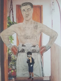 Image 3 of 'Balcony Boxer'