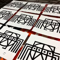 Image 2 of ‘Dave’ the Spider