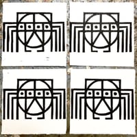 Image 3 of ‘Dave’ the Spider