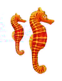 Seahorse Cushion