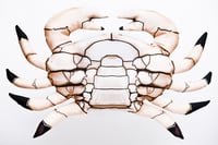 Image 2 of Crab Cushion
