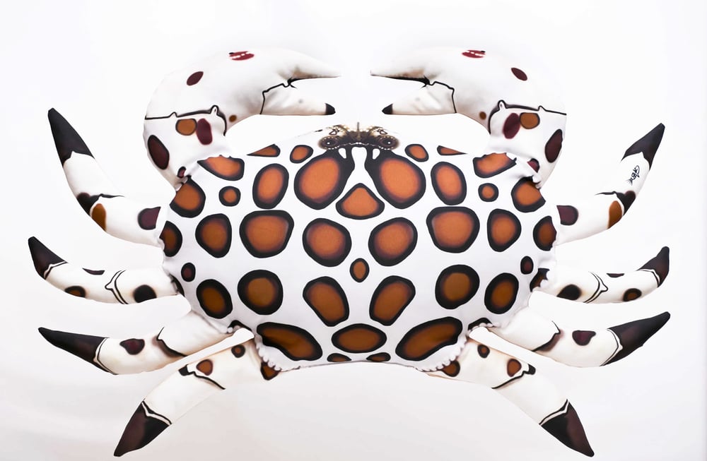 Image of Crab Cushion