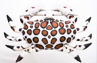 Image 1 of Crab Cushion