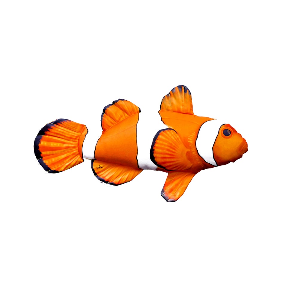 Image of Clownfish 