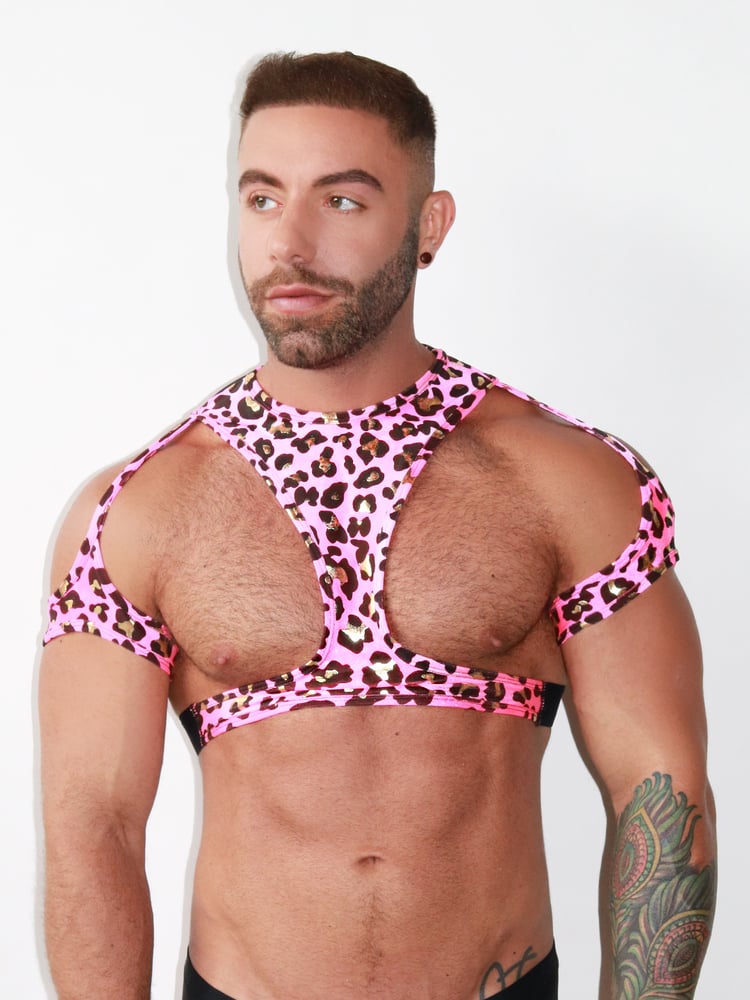Image of THE KITTY CAT SLING HARNESS