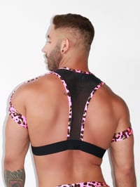 Image 2 of THE KITTY CAT SLING HARNESS