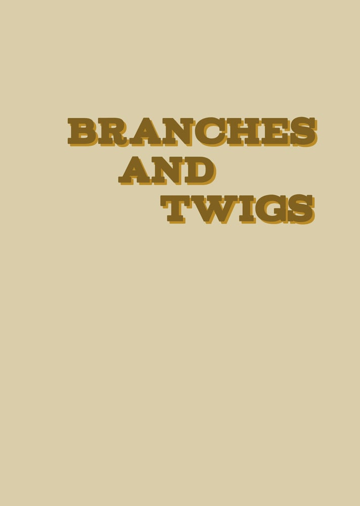 Image of branches & twigs