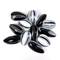 Image 4 of Sunflower Seed grouping of 20 seeds