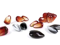 Image 2 of Pomegranate Cluster & Sunflower Seed Grouping