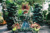 Botanical Garden 
