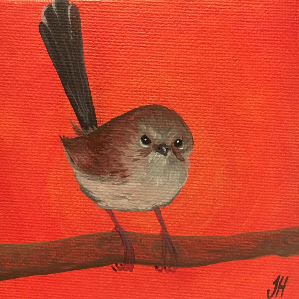 Small Tasmanian Bird Original Paintings