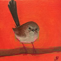 Image 2 of Small Tasmanian Bird Original Paintings