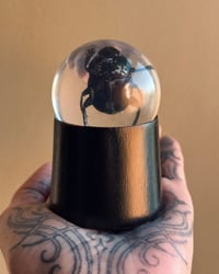 Image 1 of Resin Beetle Stand 2