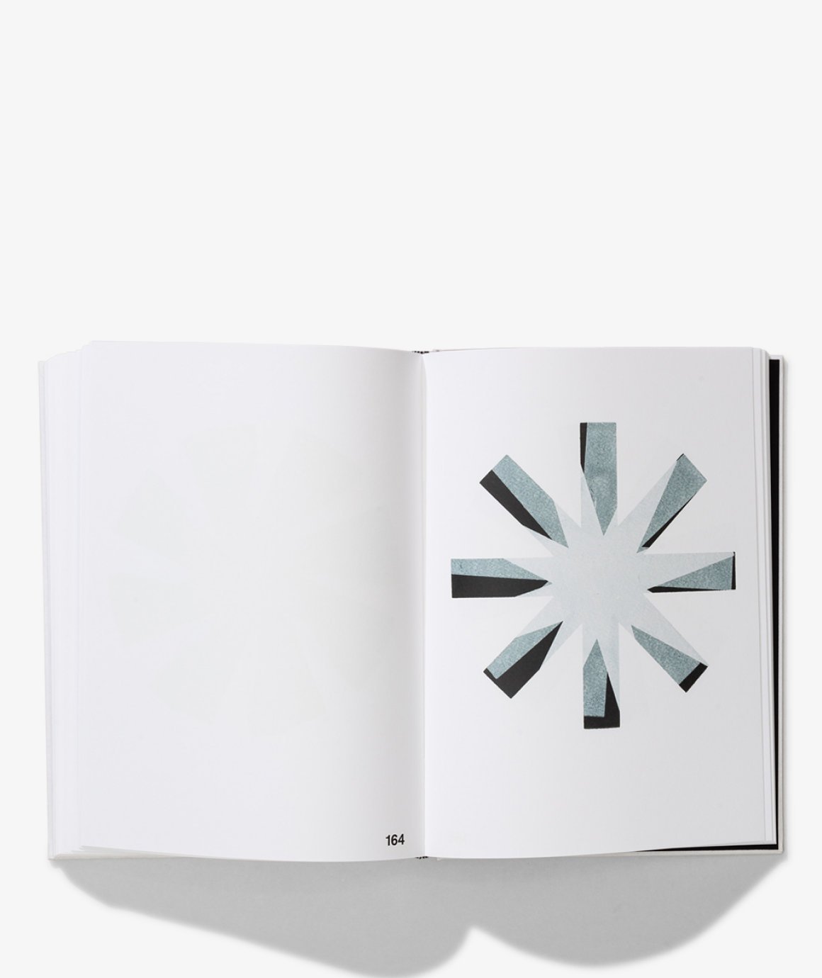 BlackStar 1-180 | Vibeke Rohland