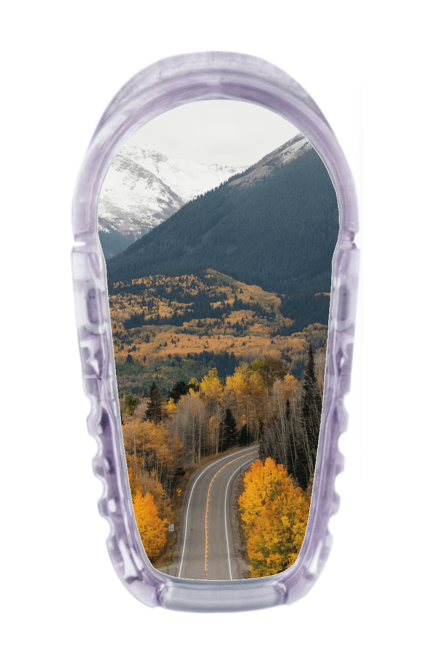 Image of Road Trip Dexcom G6 Transmitter Sticker