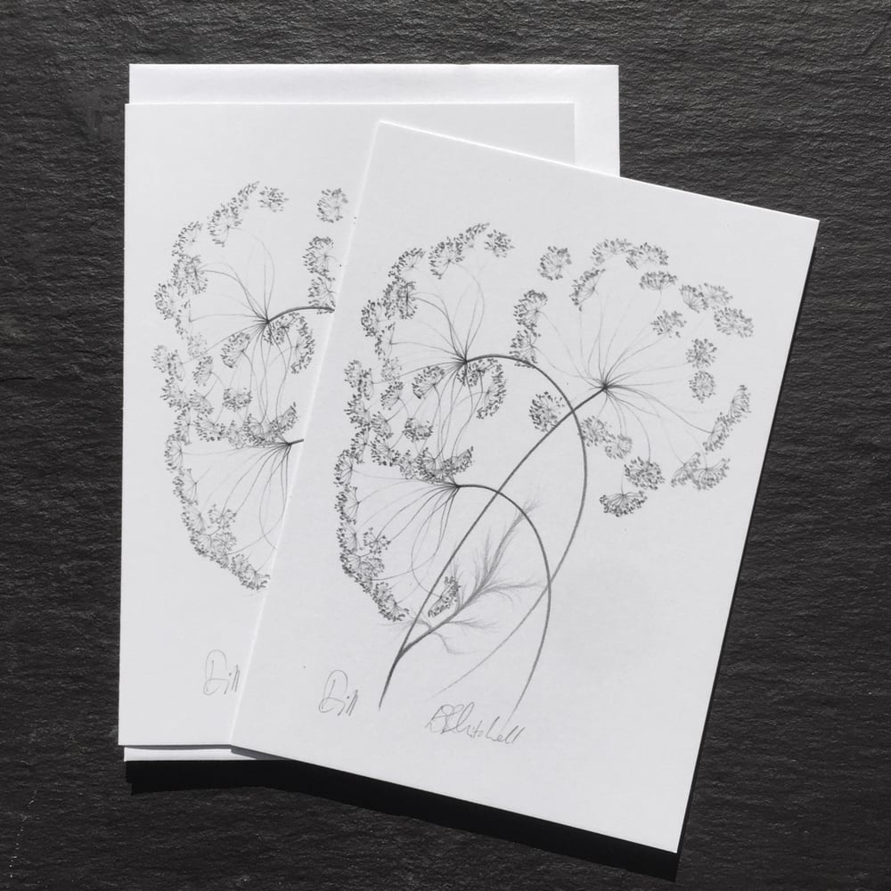 Image of Pack of 5 Greetings Cards or Postcard