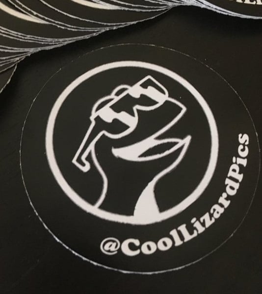 Image of Black & White Cool Lizard Sticker 