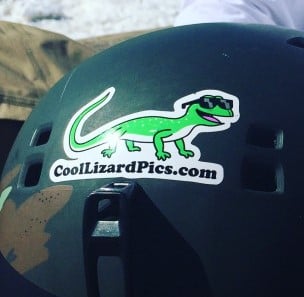 Image of Cool Lizard Sticker
