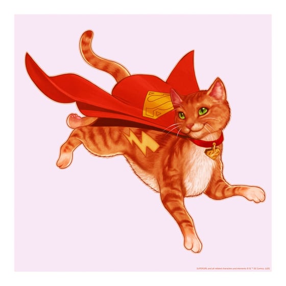 Image of Streaky the Super-Cat
