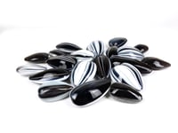 Image 1 of Sunflower Seed grouping of 20 seeds