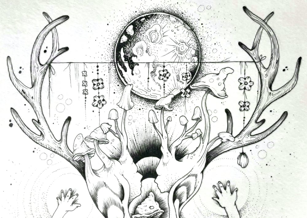 Image of Sacred Mushroom Original Drawing (framed)