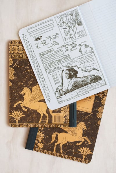 Pegasus - Decomposition Brand Notebook
