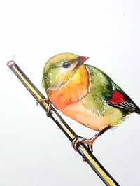 Image 2 of Art bird with Pencil - original watercolour A4