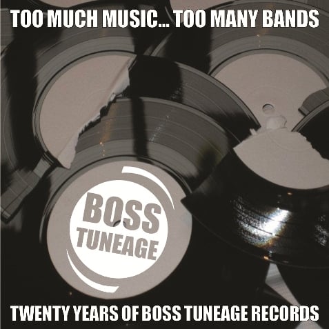 Image of Too Much Music, Too Many Bands: 20 Years Of Boss Tuneage 4xCD set