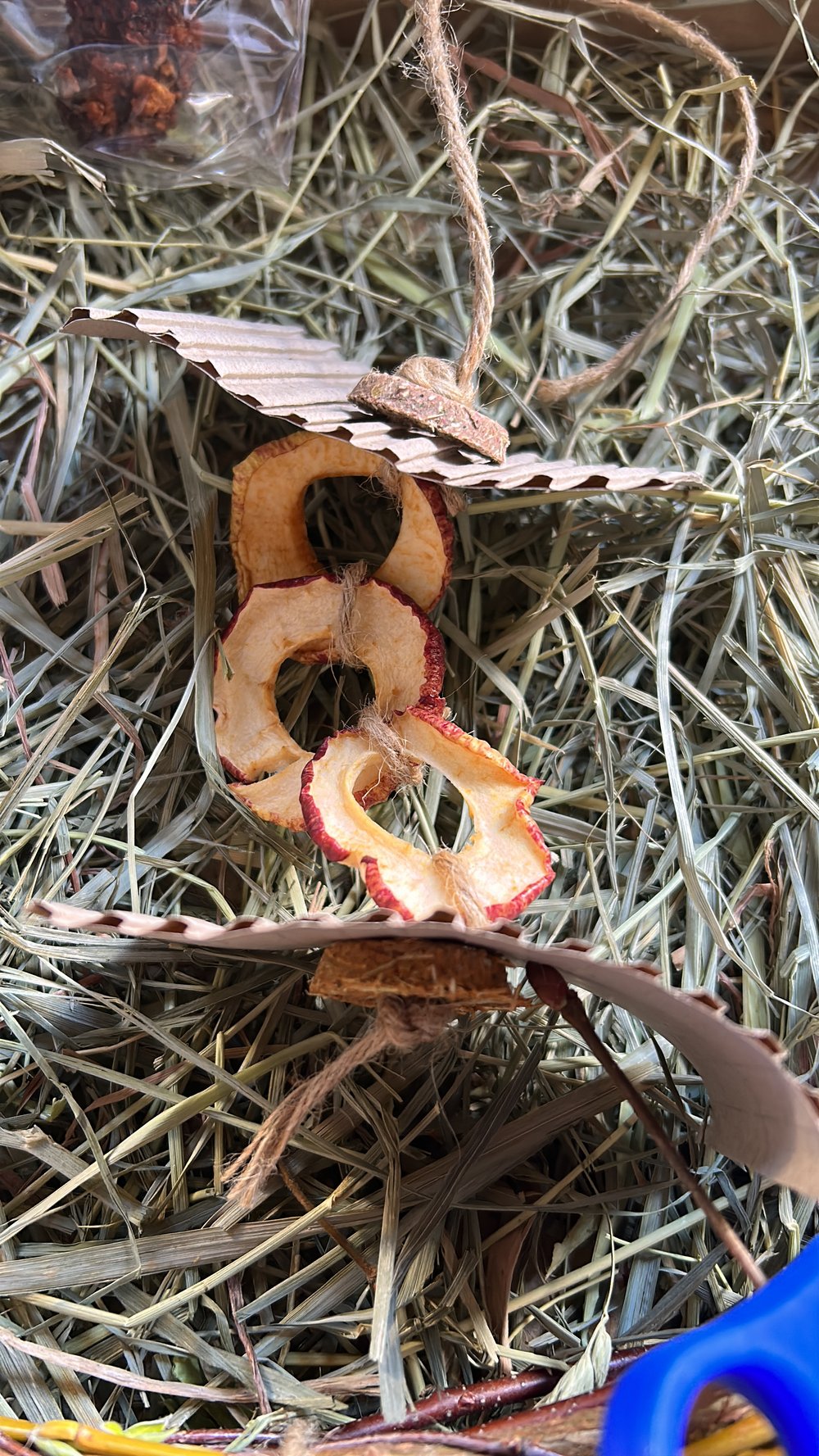 Image of Baked Apple ring hanging enrichment toy