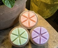 Image 2 of The Marshmallow Lover Wax Melt Collection