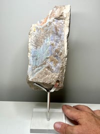 Image 8 of Andamooka Opal Painted Lady Display Piece #2645