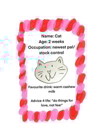 Image 4 of Cat pocket mirror 