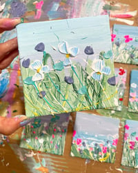 Image 4 of Sweet Meadow Minis 