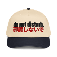 Image 4 of DND premium 5 Panel Cap