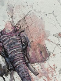 Image 2 of Éléphant Rose 