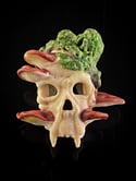 Skull with Reshi