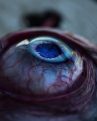 Image 13 of Custom Swappable Phone Grip for smartphones, bright blue reflective pupil, glow in the dark 