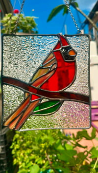 Image 2 of Cardinal Panel  ❤️