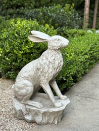 Image 1 of Entrance Hare 