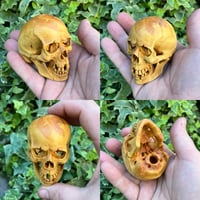 Image 1 of Boxwood Skull