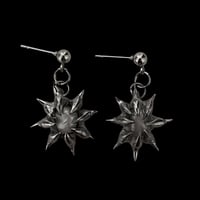 freshwater pearl earrings