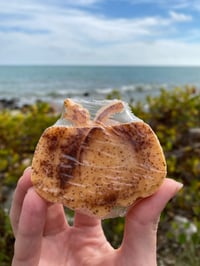 Pumpkin spice Shea butter soaps 