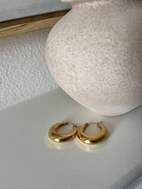 Image 3 of Rose Hoops