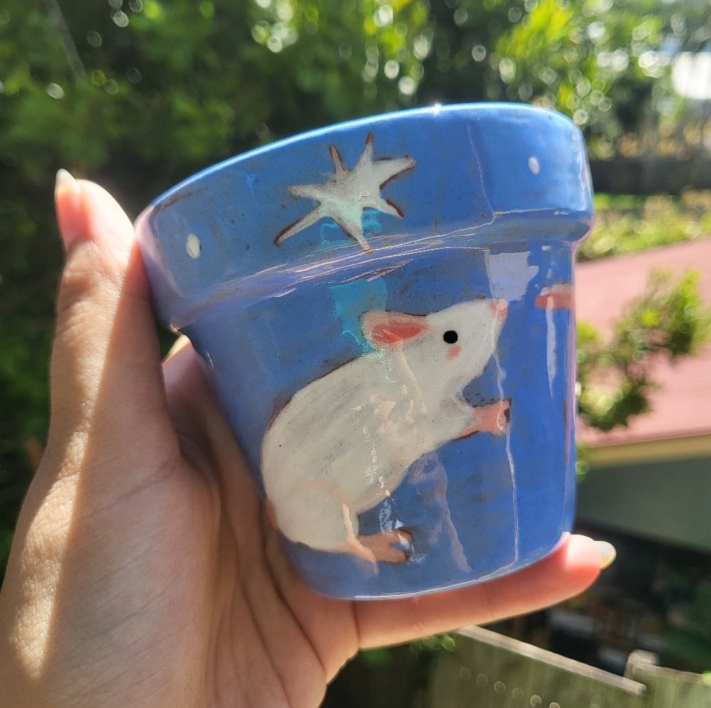 Image of Tangled Rats terracotta pots set