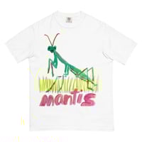 Image 1 of Mantis