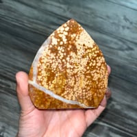 Image 1 of Ocean Jasper Freeform 