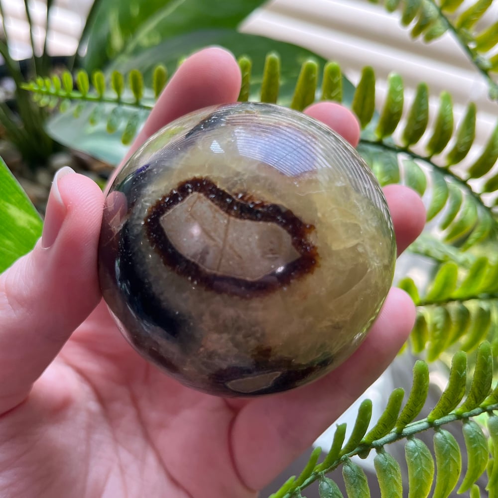 Septarian Sphere C