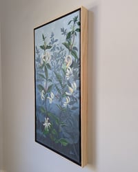 Image 3 of Honeysuckle and Bees
